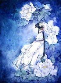 流星天际1